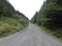 P1000046.jpg