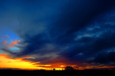 _MG_0006.2.2.JPG