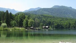 IMG_8595.jpg