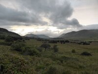 P1000079.JPG