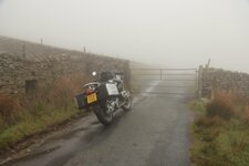 IMG_3892.jpeg
