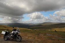 IMG_3902.jpeg