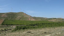 IMG_5876.jpg