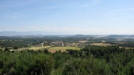 IMG_5884.jpg