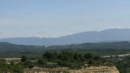 IMG_5885.jpg