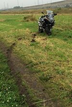 fell off 1.jpg
