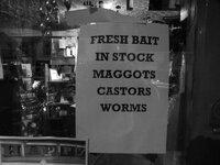 P1000200.jpg