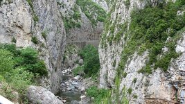 IMG_5922.jpg