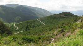 IMG_5938.jpg