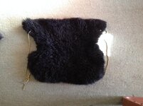 Dead sheep.jpg