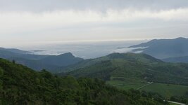 IMG_5949.jpg