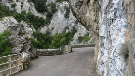 IMG_5970.jpg