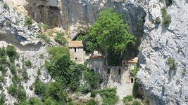 IMG_6651.jpg