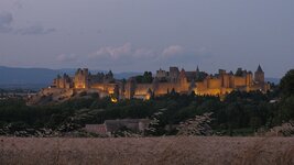IMG_6557.jpg