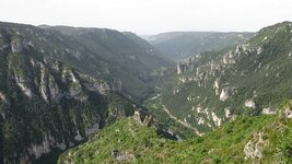 IMG_6104.jpg