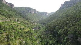 IMG_6130.jpg