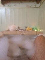 ImageUploadedByTapatalk1433086933.711880.jpg