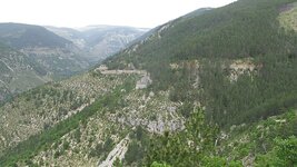 IMG_6152.jpg