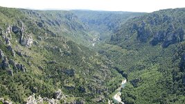 IMG_6847.jpg