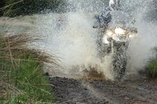 ukgser dent 026.JPG