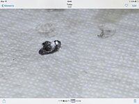 ImageUploadedByTapatalk1415785457.131380.jpg ImageUploadedByTapatalk1415785457.131380.jpg