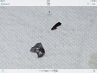 ImageUploadedByTapatalk1415785520.215868.jpg ImageUploadedByTapatalk1415785520.215868.jpg