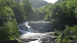 IMG_6183.jpg