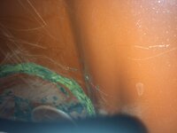 IMG_1263.JPG
