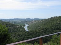 IMG_4517.jpg