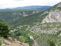 IMG_4537.jpg