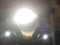 IMG_0986.jpg