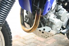 IMG_3497.jpg