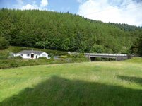 P1000010.jpg