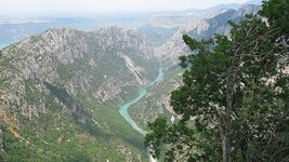 IMG_6249.jpg
