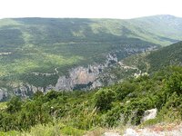 IMG_4602.jpg