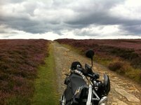 Trailriding 20-8-2014 009.jpg