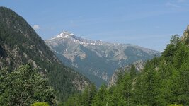IMG_6264.jpg