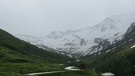 IMG_6287.jpg