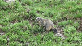 IMG_6291.jpg