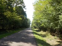 5 Road to the chateau.jpg