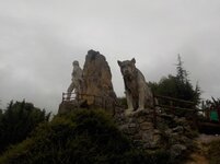 DSCN0522.jpg
