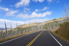 Yellowstone5.jpg