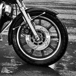 FXR.jpg