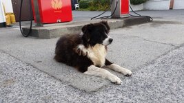 20150905_112007.jpg