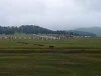 mongoliantemple.jpg