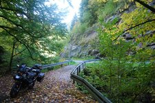 Black Forest and Ardenne October 2013 031.jpg