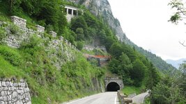 IMG_8686.jpg