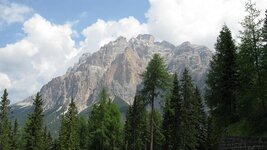 IMG_8764.jpg
