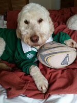 George ready for match.jpg