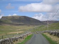 IMG_3524.jpg